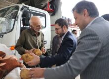 هشدار دادستان کردستان به متخلفان عرضه میوه