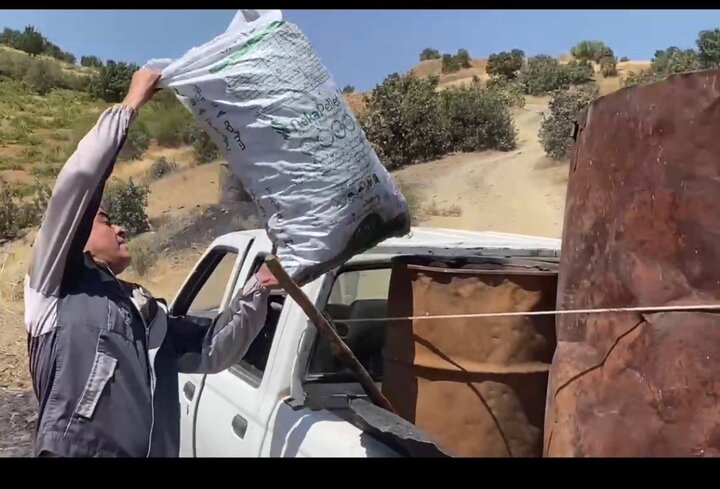 انهدام ۲۵ کوره زغالگیری غیرمجاز در مریوان