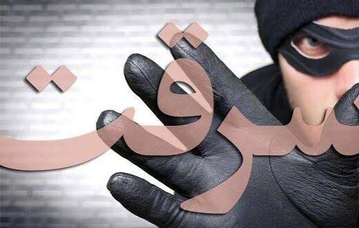 دستگیری سارق با 25 فقره سرقت در سنندج   