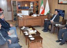 تأکید بازرس کل کردستان بر الزام دهیاران و بخشداران به اجرای کامل طرح جی‌نف