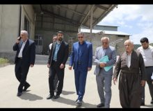 با گران‌فروشی در حوزه آرد و گونی بدون اغماض برخورد می‌کنیم