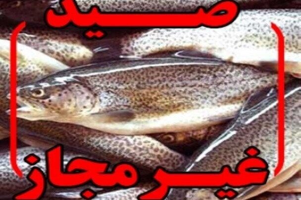 شناسایی و احضار صیاد متخلف فضای مجازی در سروآباد
