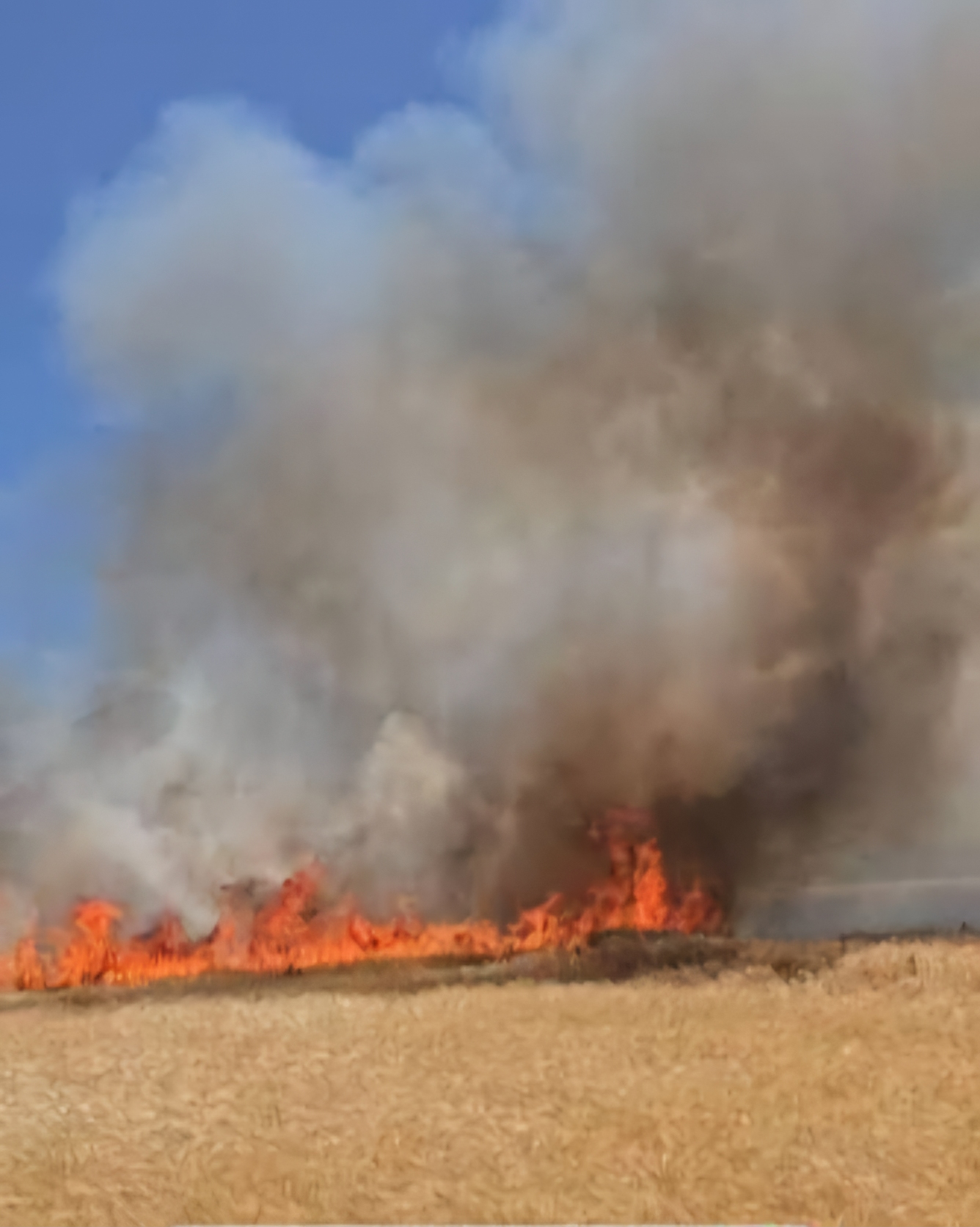 مهار آتش‌سوزی ۵ هکتار از مراتع روستای سرواله دهگلان