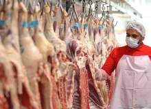 افزایش غیرمتعارف قیمت گوشت قرمز قابل قبول نیست