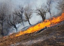 حریق در ۲ هزار مترمربع از مراتع دیواندره مهار شد