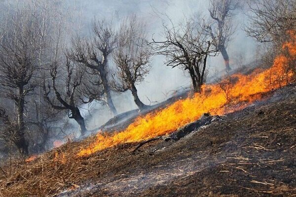 آتشسوزی سروآباد ۲۰۰ هکتار از اراضی منابع طبیعی را دچار حریق کرد