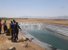 نگهبان ۵۰ ساله در استخر ذخیره آب کشاورزی قروه جان باخت