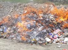 جمع‌آوری ۱.۵ تن فرآورده خام دامی فاسد در کردستان   