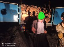 توقیف محموله چوب قاچاق در منطقه حفاظت‌شده «چلچمه‌مه و سارال»