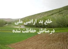 رفع تصرف ۴۷۰۰ مترمربع از بستر تالاب بین‌المللی زریبار